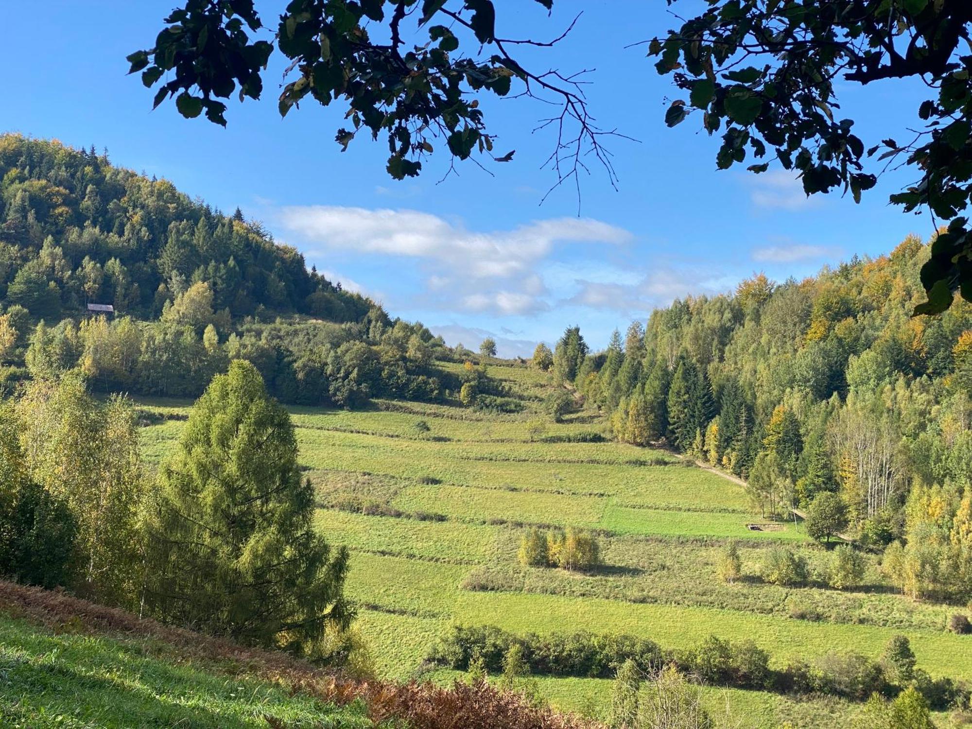 Domki I Pokoje Z Dostepem Do Spa Łapsze Niżne Exterior foto